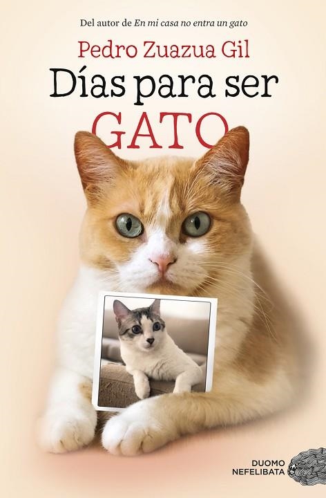 DÍAS PARA SER GATO | 9788417128524 | ZUAZUA GIL, PEDRO | Llibreria Online de Banyoles | Comprar llibres en català i castellà online