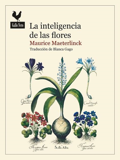 LA INTELIGENCIA DE LAS FLORES | 9788419168016 | MAETERLINCK, MAURICE | Llibreria L'Altell - Llibreria Online de Banyoles | Comprar llibres en català i castellà online - Llibreria de Girona