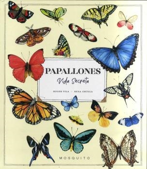 PAPALLONES VIDA SECRETA | 9788412451597 | VILA, ROGER/ORTEGA, RENA | Llibreria Online de Banyoles | Comprar llibres en català i castellà online