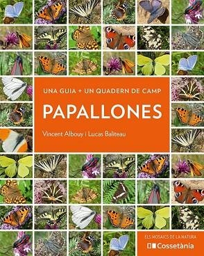 PAPALLONES | 9788413560540 | ALBOUY, VINCENT/BALITEAU, LUCAS | Llibreria L'Altell - Llibreria Online de Banyoles | Comprar llibres en català i castellà online - Llibreria de Girona