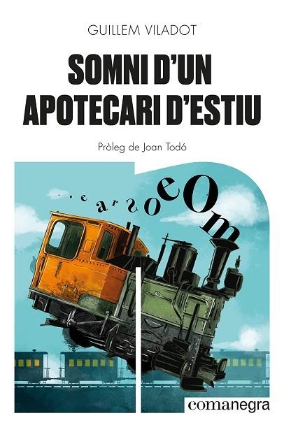 SOMNI D'UN APOTECARI D'ESTIU | 9788418857645 | VILADOT, GUILLEM | Llibreria Online de Banyoles | Comprar llibres en català i castellà online