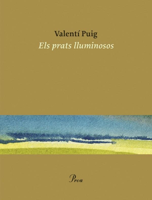 ELS PRATS LLUMINOSOS | 9788475889498 | PUIG, VALENTÍ | Llibreria L'Altell - Llibreria Online de Banyoles | Comprar llibres en català i castellà online - Llibreria de Girona