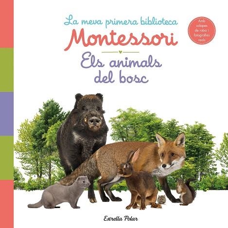 ELS ANIMALS DEL BOSC. LA MEVA PRIMERA BIBLIOTECA MONTESSORI | 9788413890159 | AA. VV. | Llibreria Online de Banyoles | Comprar llibres en català i castellà online