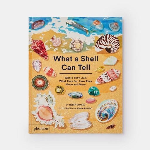 WHAT A SHELL CAN TELL | 9781838664305 | PULIDO, SONIA;SCALES, HELEN | Llibreria Online de Banyoles | Comprar llibres en català i castellà online