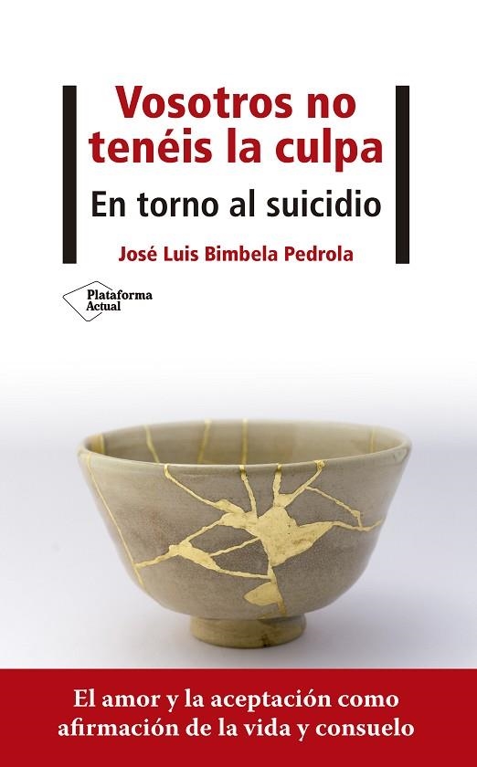 VOSOTROS NO TENÉIS LA CULPA | 9788418285707 | BIMBELA PEDROLA, JOSÉ LUIS | Llibreria Online de Banyoles | Comprar llibres en català i castellà online