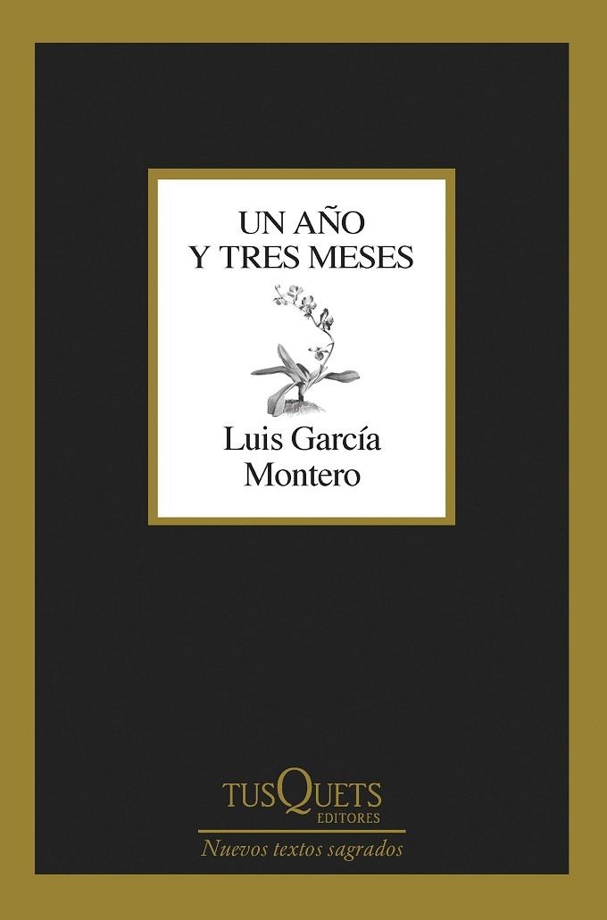 UN AÑO Y TRES MESES | 9788411071475 | GARCÍA MONTERO, LUIS | Llibreria L'Altell - Llibreria Online de Banyoles | Comprar llibres en català i castellà online - Llibreria de Girona