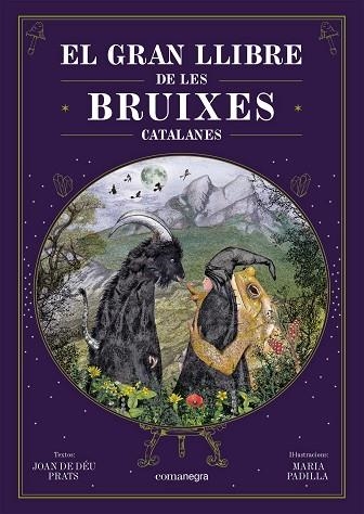 EL GRAN LLIBRE DE LES BRUIXES CATALANES | 9788418857751 | PRATS, JOAN DE DÉU/PADILLA CLIMENT, MARIA | Llibreria Online de Banyoles | Comprar llibres en català i castellà online