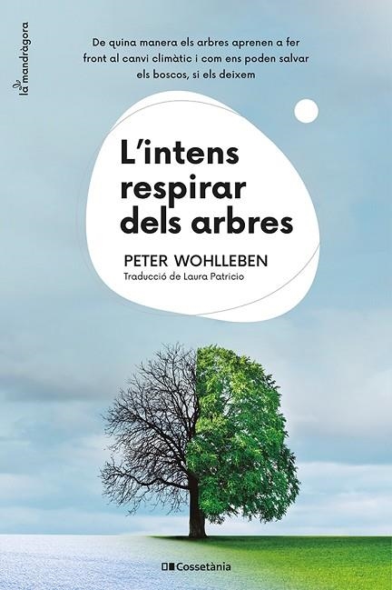 L'INTENS RESPIRAR DELS ARBRES | 9788413562087 | WOHLLEBEN, PETER | Llibreria Online de Banyoles | Comprar llibres en català i castellà online