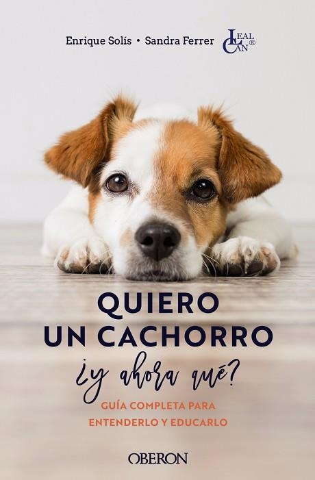 QUIERO UN CACHORRO, ¿Y AHORA QUÉ? | 9788441546561 | SOLÍS ÁLVAREZ, ENRIQUE/FERRER DE LUCAS, SANDRA | Llibreria Online de Banyoles | Comprar llibres en català i castellà online