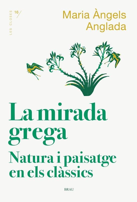 LA MIRADA GREGA | 9788418096167 | ANGLADA I D'ABADAL, MARIA ÀNGELS | Llibreria Online de Banyoles | Comprar llibres en català i castellà online