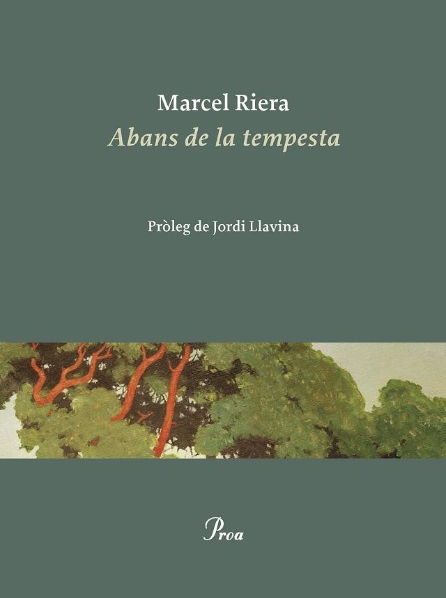 ABANS DE LA TEMPESTA | 9788475889900 | RIERA BOU, MARCEL | Llibreria Online de Banyoles | Comprar llibres en català i castellà online