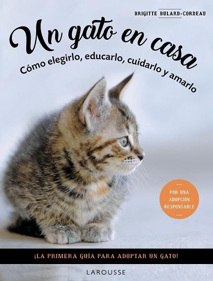 GATO EN CASA, UN | 9788419436092 | BULARD-CORDEAU, BRIGITTE | Llibreria Online de Banyoles | Comprar llibres en català i castellà online