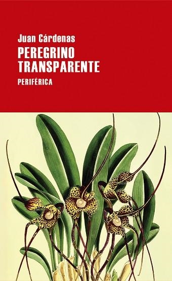 PEREGRINO TRANSPARENTE | 9788418838620 | CÁRDENAS, JUAN | Llibreria L'Altell - Llibreria Online de Banyoles | Comprar llibres en català i castellà online - Llibreria de Girona