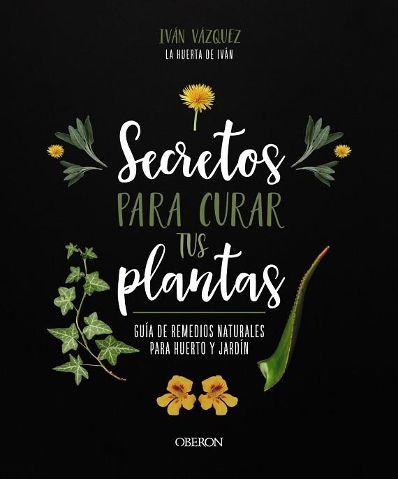 SECRETOS PARA CURAR TUS PLANTAS | 9788441547162 | VÁZQUEZ MUÑOZ, IVÁN | Llibreria Online de Banyoles | Comprar llibres en català i castellà online