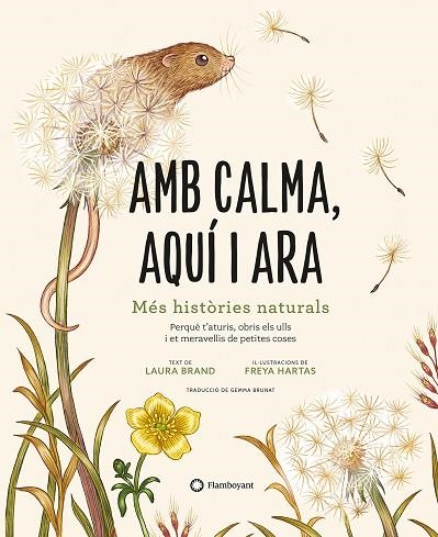 AMB CALMA, AQUÍ I ARA | 9788419401120 | BRAND, LAURA | Llibreria Online de Banyoles | Comprar llibres en català i castellà online