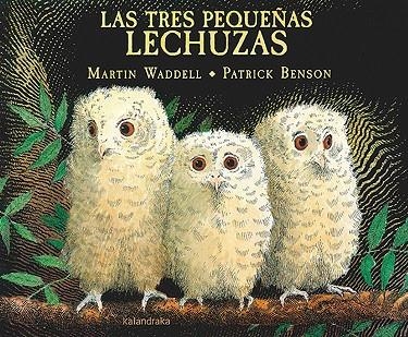 LAS TRES PEQUEÑAS LECHUZAS | 9788484643180 | WADDELL, MARTIN | Llibreria Online de Banyoles | Comprar llibres en català i castellà online