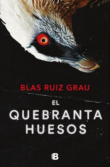 QUEBRANTAHUESOS, EL (NICOLÁS VALDÉS 4) | 9788466673600 | RUIZ GRAU, BLAS | Llibreria Online de Banyoles | Comprar llibres en català i castellà online