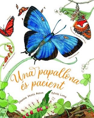 UNA PAPALLONA ÉS PACIENT | 9788418900471 | HUTTS ASTON, DIANNA | Llibreria Online de Banyoles | Comprar llibres en català i castellà online