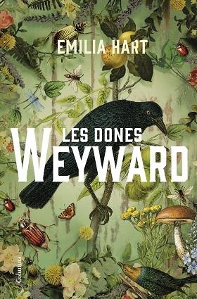 LES DONES WEYWARD | 9788466430210 | HART, EMILIA | Llibreria Online de Banyoles | Comprar llibres en català i castellà online