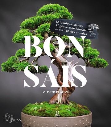 BONSÁIS | 9788419436610 | SAMSON, RÉMY/SAMSON, ISABELLE | Llibreria Online de Banyoles | Comprar llibres en català i castellà online