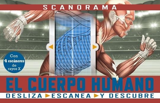 SCANORAMA. EL CUERPO HUMANO | 9788469667620 | CLAYBOURNE, ANNA | Llibreria Online de Banyoles | Comprar llibres en català i castellà online