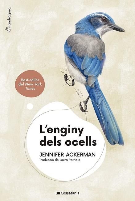 ENGINY DELS OCELLS, L' | 9788413562544 | ACKERMAN, JENNIFER | Llibreria Online de Banyoles | Comprar llibres en català i castellà online