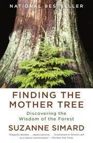 FINDING THE MOTHER TREE | 9780525565994 | SIMARD, SUZANNE | Llibreria Online de Banyoles | Comprar llibres en català i castellà online