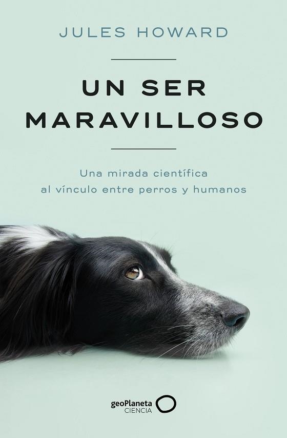 SER MARAVILLOSO, UN | 9788408269328 | HOWARD, JULES | Llibreria Online de Banyoles | Comprar llibres en català i castellà online