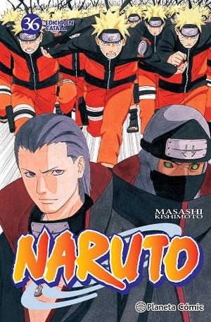 NARUTO Nº 36/72 | 9788415821410 | KISHIMOTO, MASASHI | Llibreria Online de Banyoles | Comprar llibres en català i castellà online