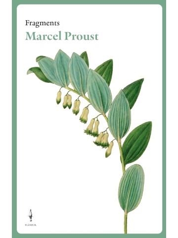 FRAGMENTS | 9788409450275 | PROUST, MARCEL | Llibreria L'Altell - Llibreria Online de Banyoles | Comprar llibres en català i castellà online - Llibreria de Girona