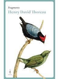 FRAGMENTS | 9788409484263 | THOREAU, HENRY DAVID | Llibreria Online de Banyoles | Comprar llibres en català i castellà online