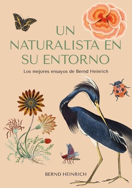 UN NATURALISTA EN SU ENTORNO | 9788412618488 | HEINRICH, BERND | Llibreria Online de Banyoles | Comprar llibres en català i castellà online