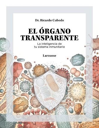 EL ÓRGANO TRANSPARENTE. LA INTELIGENCIA DE TU SISTEMA INMUNITARIO | 9788419250506 | CUBEDO, DR. RICARDO | Llibreria L'Altell - Llibreria Online de Banyoles | Comprar llibres en català i castellà online - Llibreria de Girona