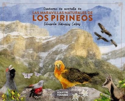 CUADERNO DE MONTAÑA DE LAS MARAVILLAS NATURALES DE LOS PIRINEOS | 9788491586036 | VIÑUALES COBOS, EDUARDO | Llibreria Online de Banyoles | Comprar llibres en català i castellà online