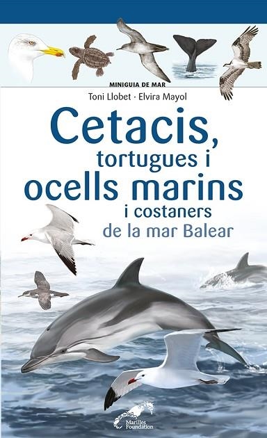 CETACIS, TORTUGUES I OCELLS MARINS I COSTANERS DE LA MAR BALEAR | 9788413562735 | MAYOL, ELVIRA | Llibreria Online de Banyoles | Comprar llibres en català i castellà online