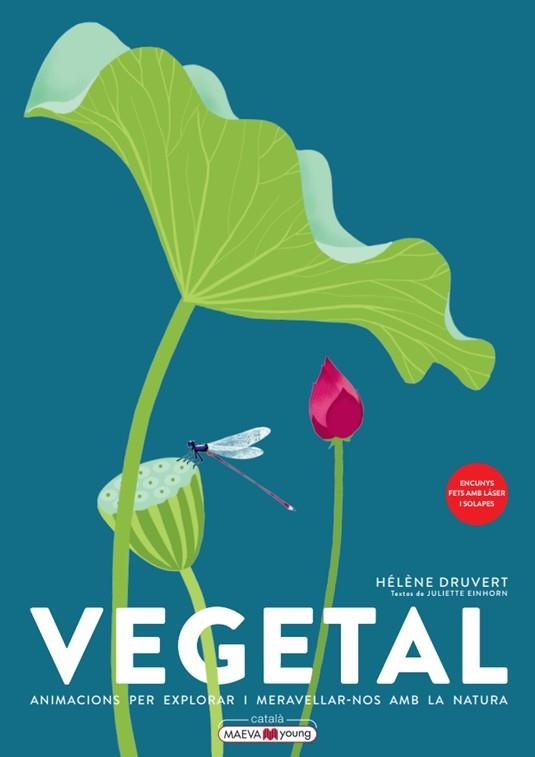 VEGETAL | 9788419110886 | DRUVERT, HÉLÈNE | Llibreria Online de Banyoles | Comprar llibres en català i castellà online