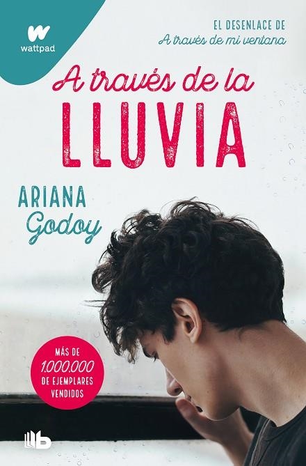 A TRAVÉS DE LA LLUVIA (EDICIÓN REVISADA POR LA AUTORA) (TRILOGÍA HERMANOS HIDALG | 9788413147994 | GODOY, ARIANA | Llibreria Online de Banyoles | Comprar llibres en català i castellà online