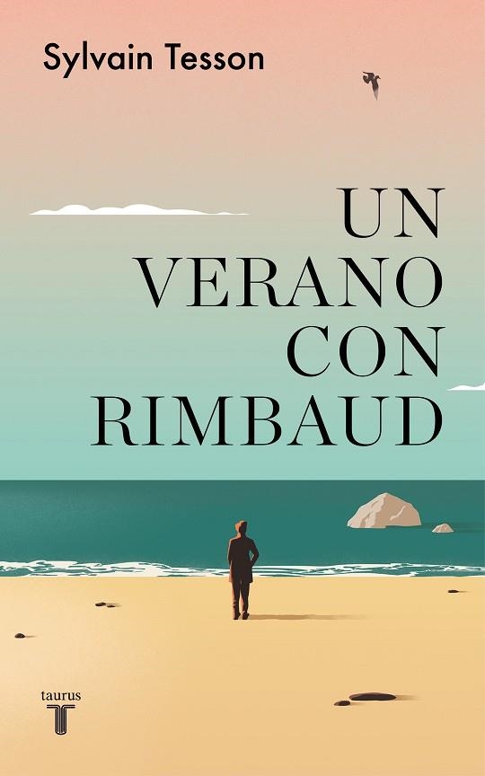 UN VERANO CON RIMBAUD | 9788430625864 | TESSON, SYLVAIN | Llibreria Online de Banyoles | Comprar llibres en català i castellà online