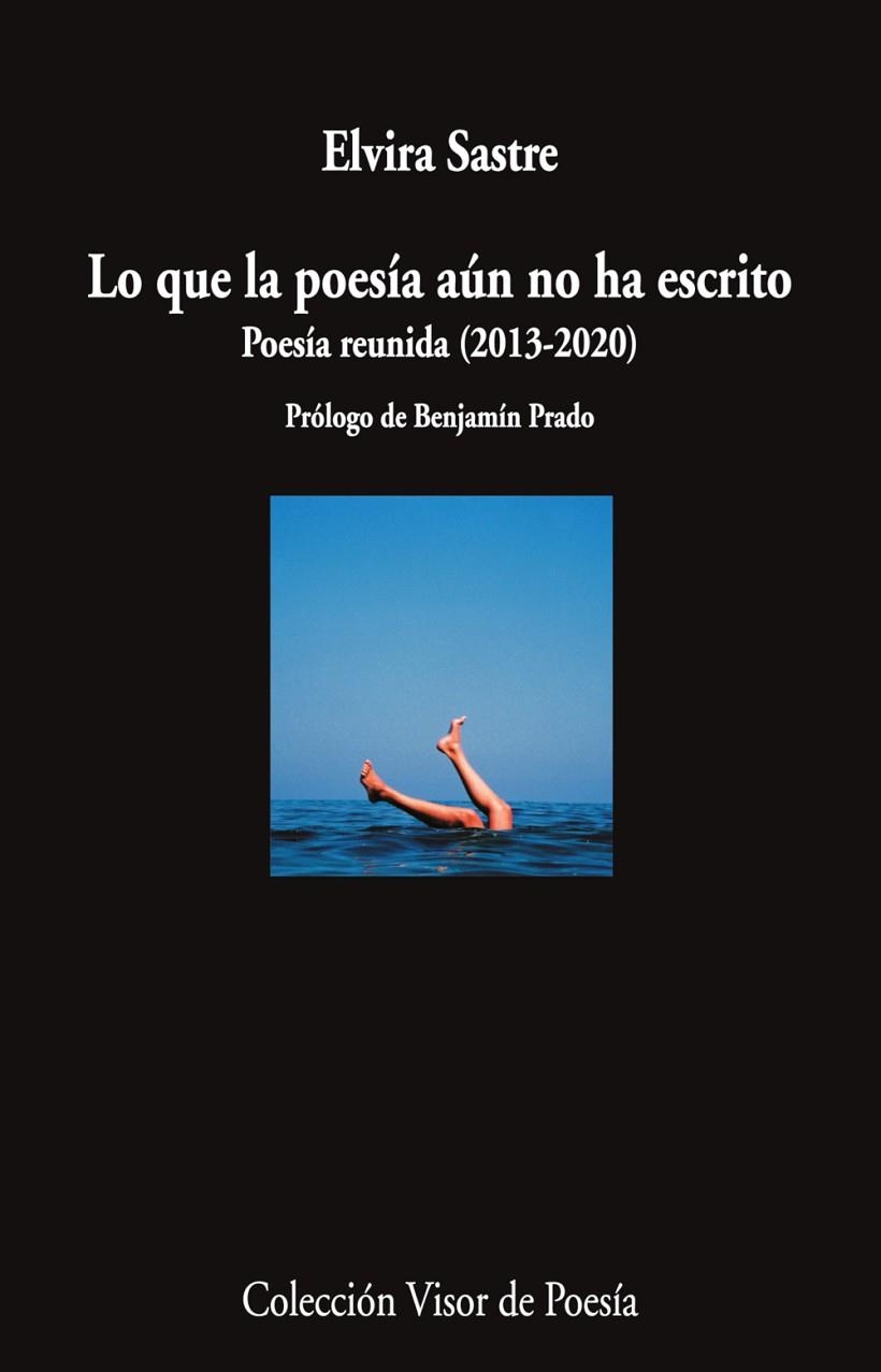 LO QUE LA POESÍA AÚN NO HA ESCRITO | 9788498954920 | SASTRE, ELVIRA | Llibreria L'Altell - Llibreria Online de Banyoles | Comprar llibres en català i castellà online - Llibreria de Girona