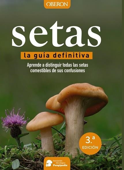 SETAS | 9788441537842 | CALVO PÉREZ, AITOR/CALVO PÉREZ, JAVIER/ROMÁN ECHEVARRÍA, JUAN ANDRÉS/IBARRETXE IRAGORRI, RICARDO | Llibreria Online de Banyoles | Comprar llibres en català i castellà online