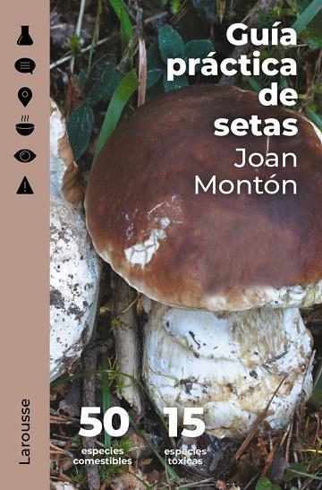 GUÍA PRÁCTICA DE SETAS | 9788418473845 | MONTÓN MARTÍNEZ, JOAN | Llibreria Online de Banyoles | Comprar llibres en català i castellà online