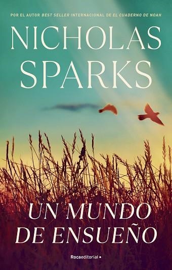 MUNDO DE ENSUEÑO, UN | 9788419283955 | SPARKS, NICHOLAS | Llibreria Online de Banyoles | Comprar llibres en català i castellà online