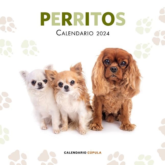 CALENDARI PERRITOS 2024 | 9788448038069 | AA. VV. | Llibreria Online de Banyoles | Comprar llibres en català i castellà online