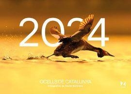 2024 OCELLS DE CATALUNYA CALENDARI | 9781901175059 | BERTRANA, XAVIER | Llibreria Online de Banyoles | Comprar llibres en català i castellà online