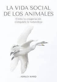 LA VIDA SOCIAL DE LOS ANIMALES | 9788412645491 | WARD, ASHLEY | Llibreria Online de Banyoles | Comprar llibres en català i castellà online