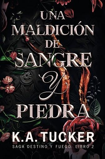 UNA MALDICION DE SANGRE Y PIEDRA | 9788419621092 | TUCKER, K.A. | Llibreria Online de Banyoles | Comprar llibres en català i castellà online