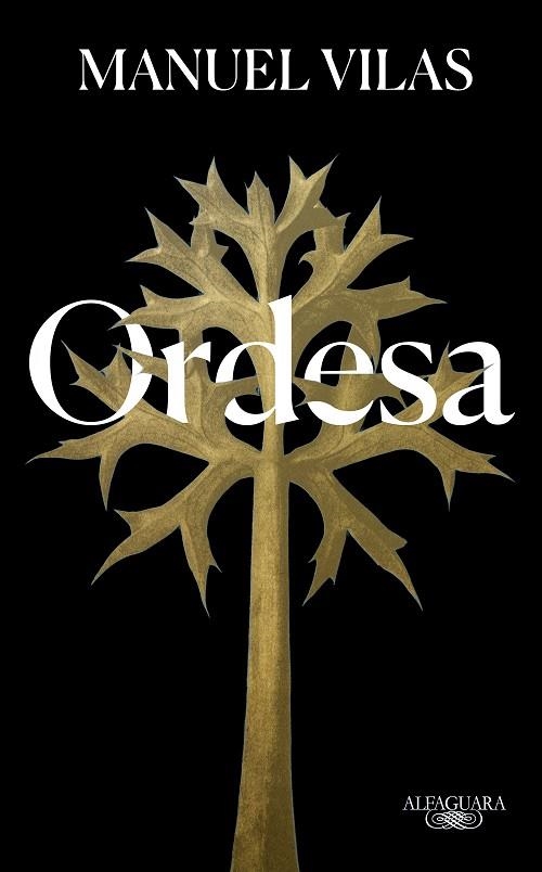 ORDESA (EDICIÓN ESPECIAL 5.º ANIVERSARIO) | 9788420476551 | VILAS, MANUEL | Llibreria Online de Banyoles | Comprar llibres en català i castellà online