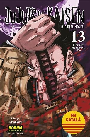 JUJUTSU KAISEN 13 | 9788467957679 | AKUTAMI, GEGE | Llibreria Online de Banyoles | Comprar llibres en català i castellà online