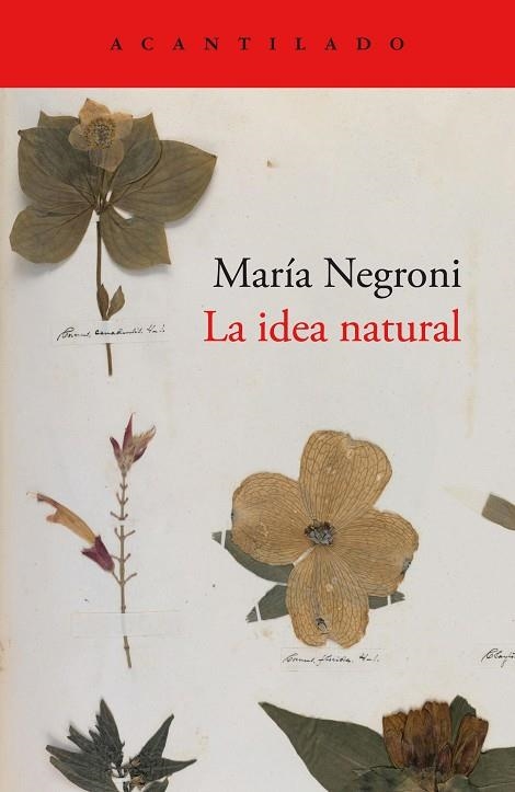 IDEA NATURAL, LA | 9788419036872 | NEGRONI, MARÍA | Llibreria Online de Banyoles | Comprar llibres en català i castellà online