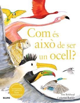 COM ÉS AIXÒ DE SER UN OCELL? | 9788410048102 | BIRKHEAD, TIM/RAYNER, CATHERINE | Llibreria Online de Banyoles | Comprar llibres en català i castellà online